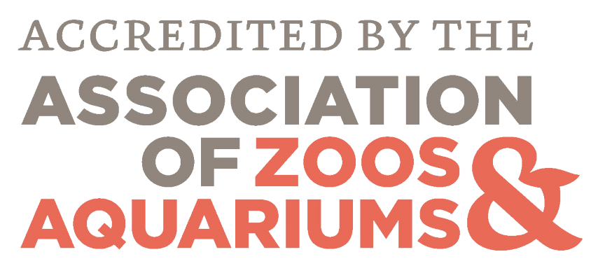 Accredited By The Association of Zoos & Aquarium